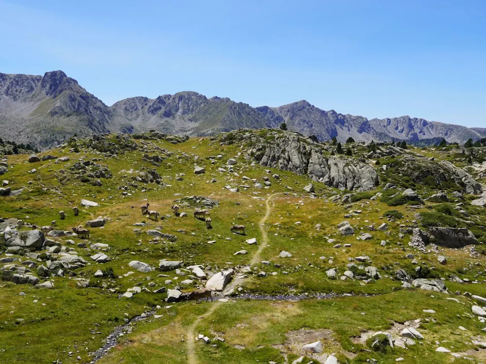 Hiking Around a Country