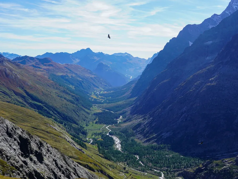 Alpine Valleys