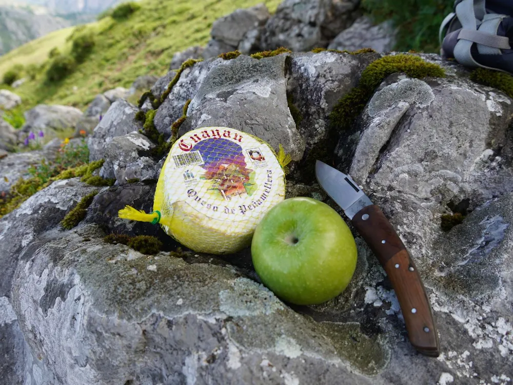 Asturian Food