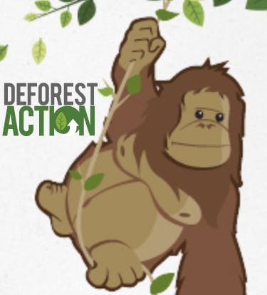 DeforestACTION