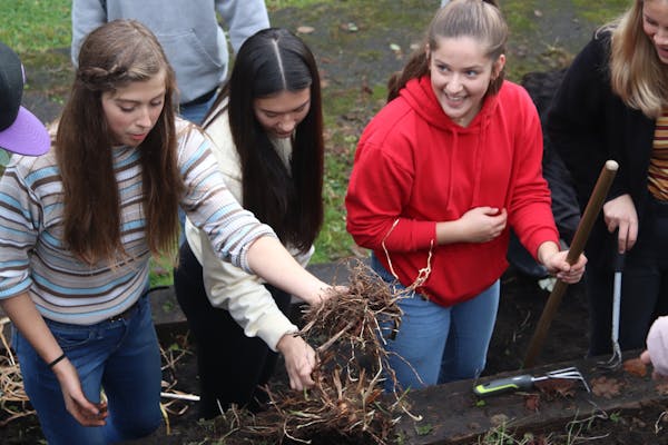 #RisingYouth grantees planting a garden
