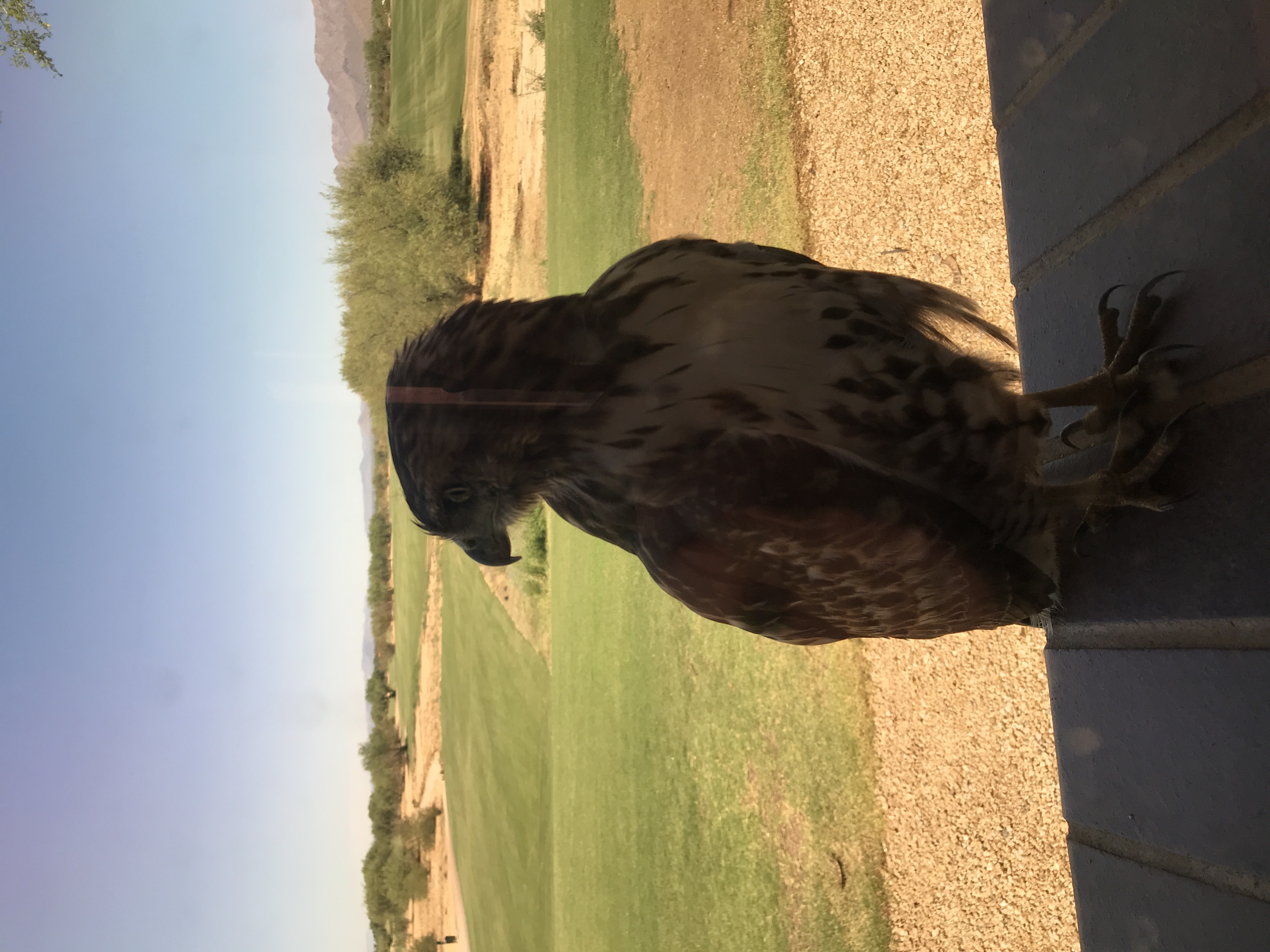best value golf scottsdale