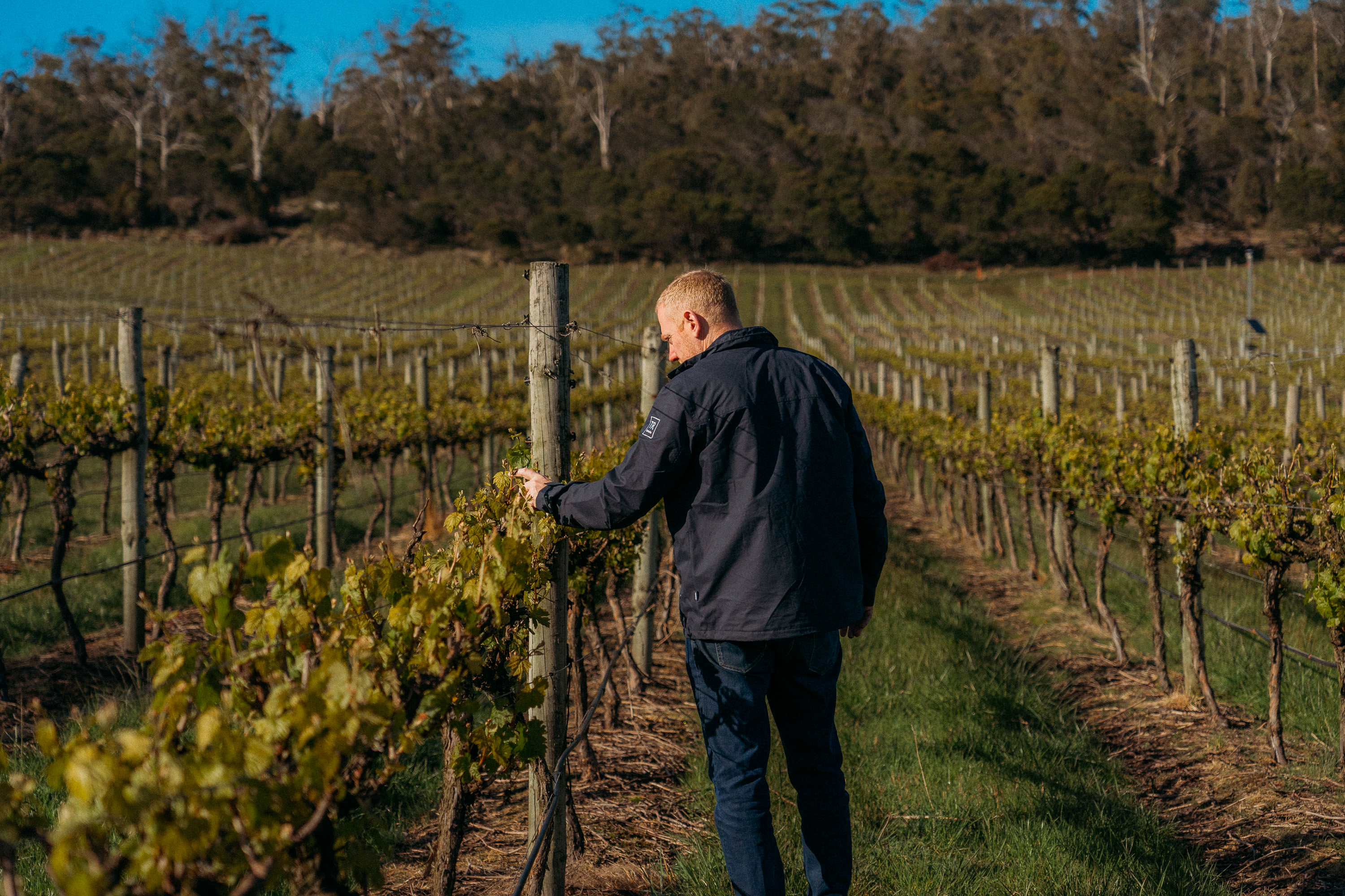 Winery shot