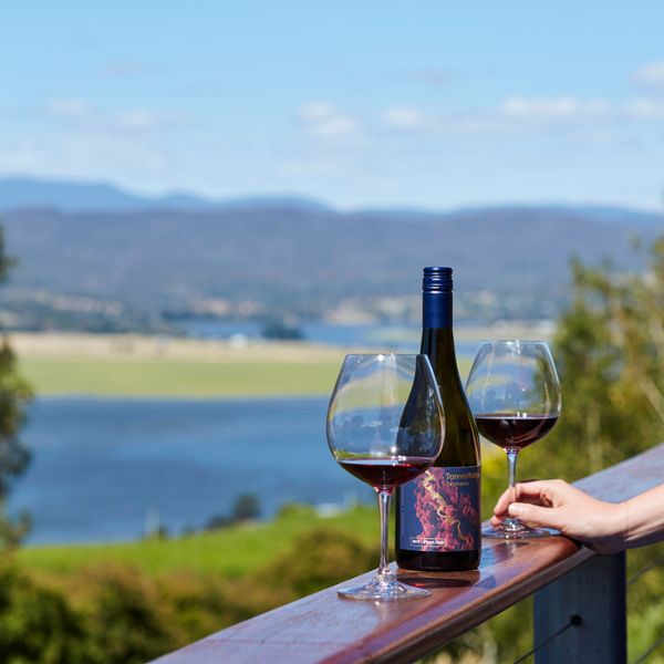 A scenic shot in the background with 2 glasses of wine and a bottle.
