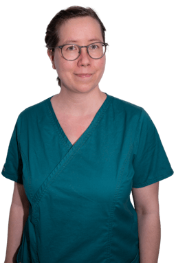 Picture of a dentist