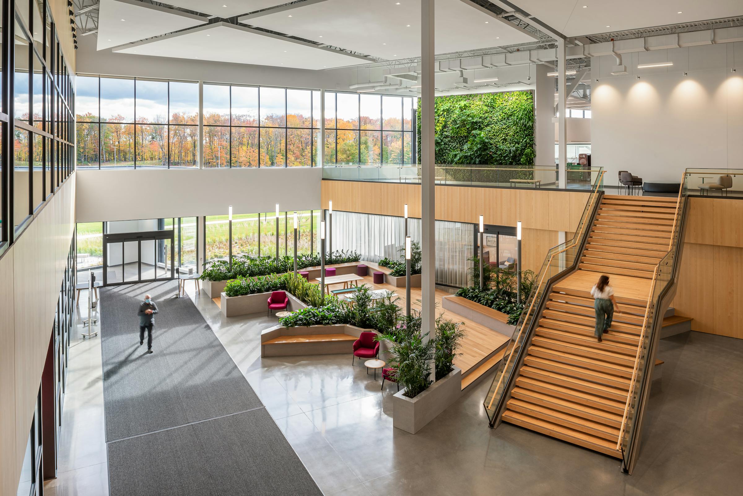 Large lobby with landscaping, a monumental wooden staircase and moving silhouettes.