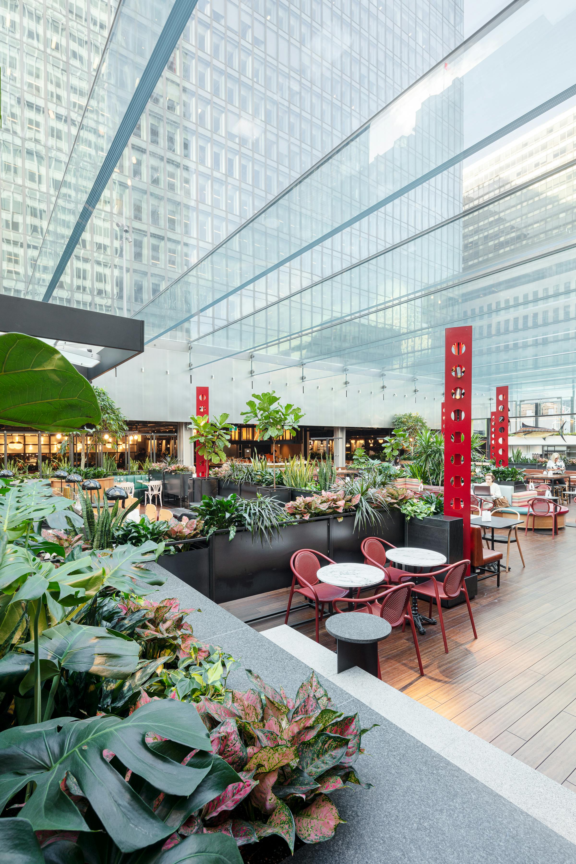Commercial and professional photography of a restaurant space under an oversized glass ceiling.