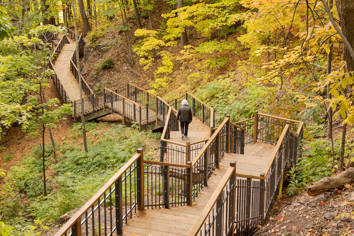The Grands-Domaines-de-Sillery trail winds through the forest to reach the bottom of the cliff.