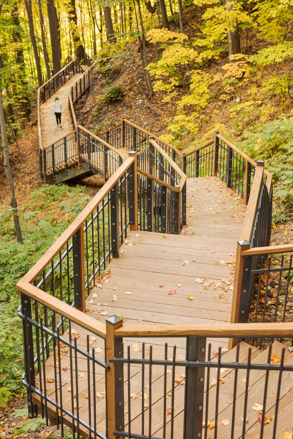 In the distance, a walker on the wooden stairs of a forest path.