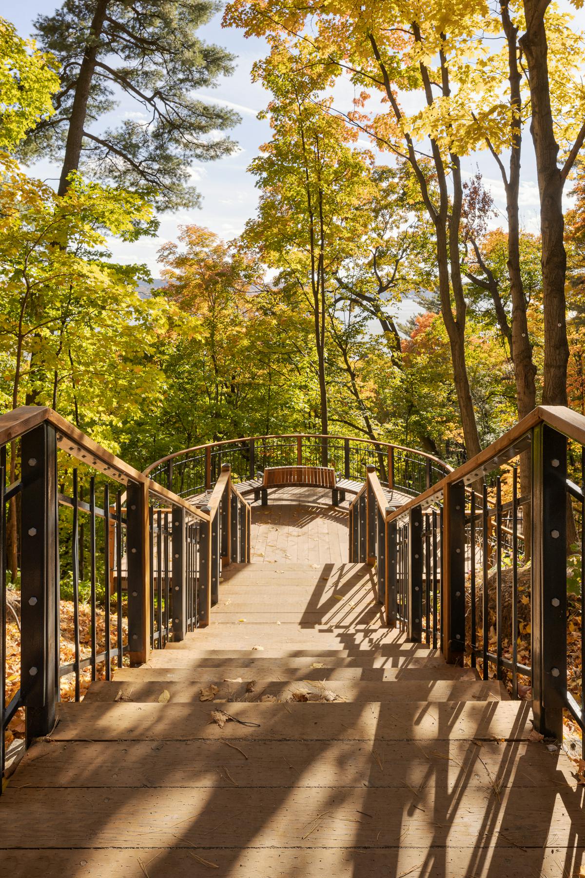Perspective of the stairs towards an observation platform of the autumn-colored forest.