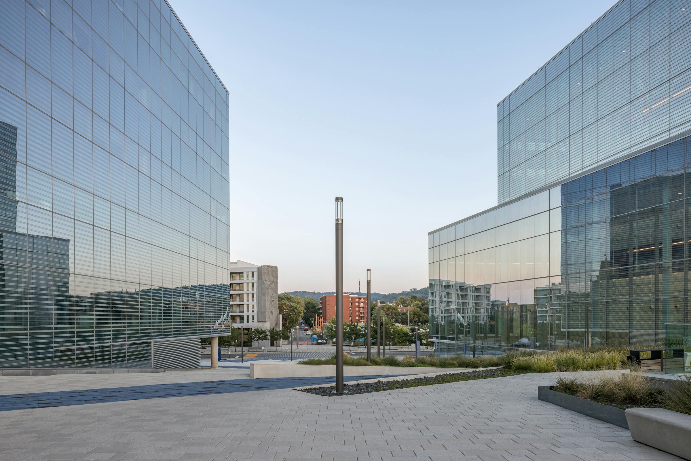 Photograph of the landscape architecture between the pavilions of a university in Montreal. Mount Royal in the background.