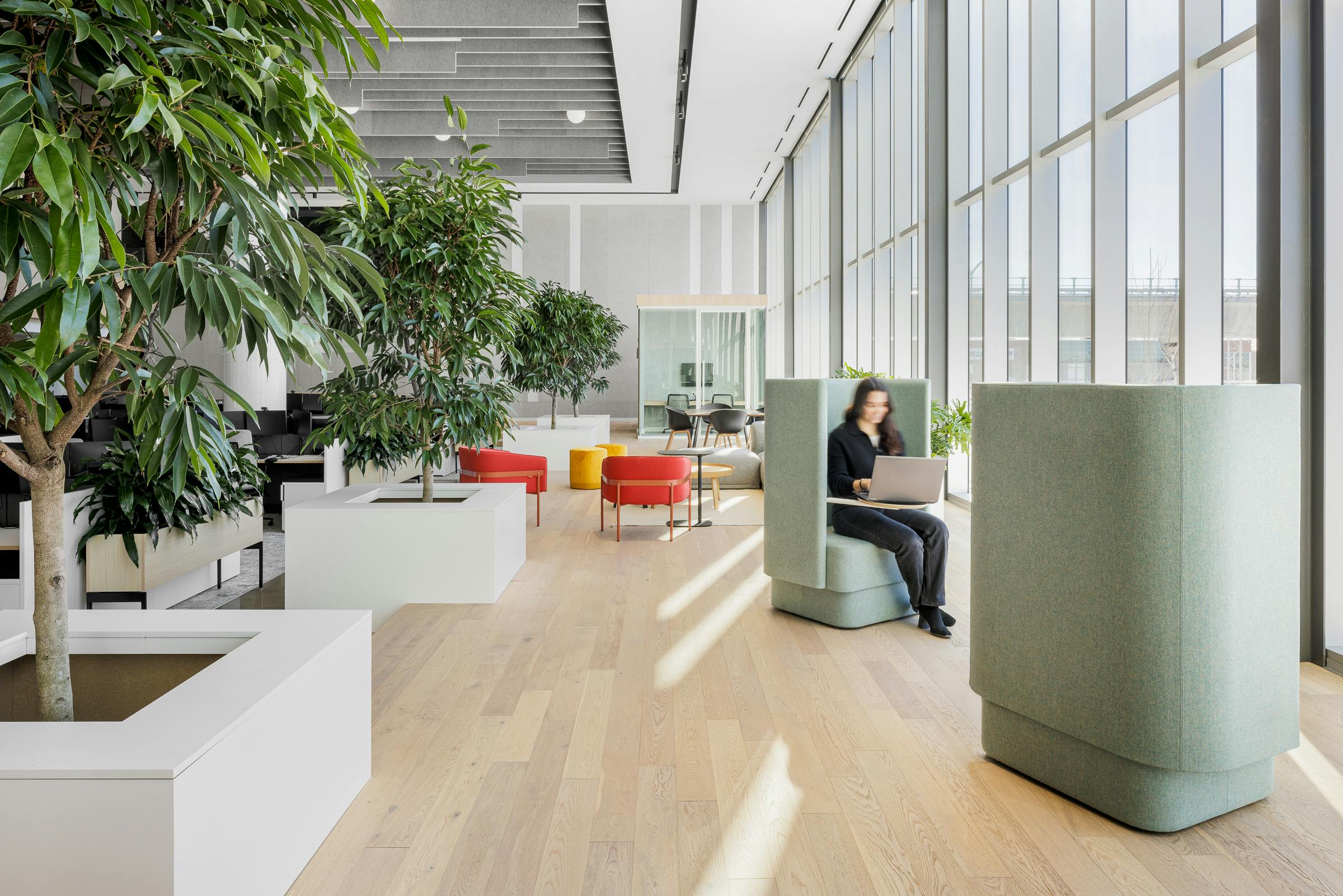 Photograph of design and furniture in a renovated workspace with lots of natural light.