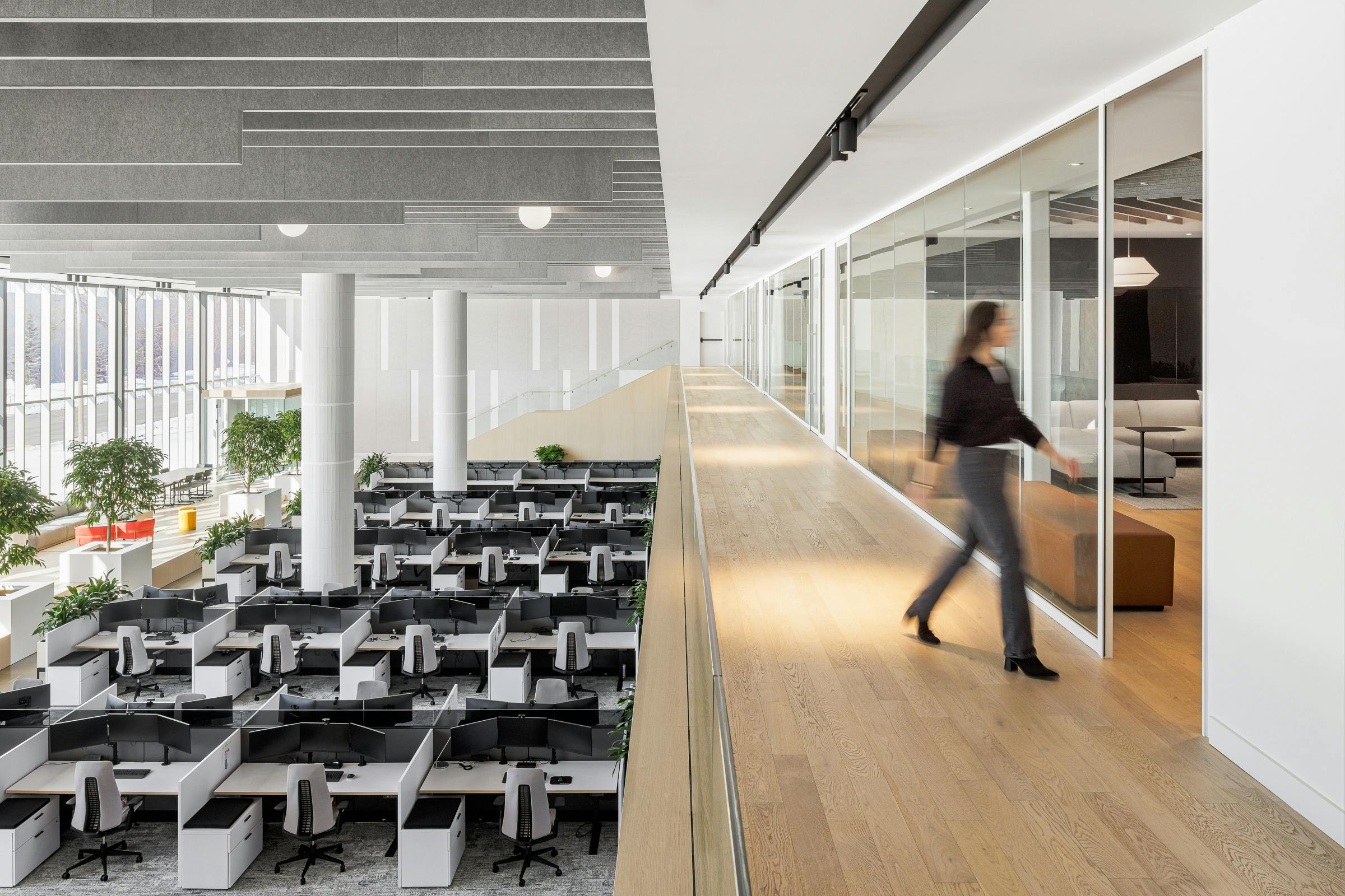 Photograph from the mezzanine in an office renovation. The design uses natural materials and colors.