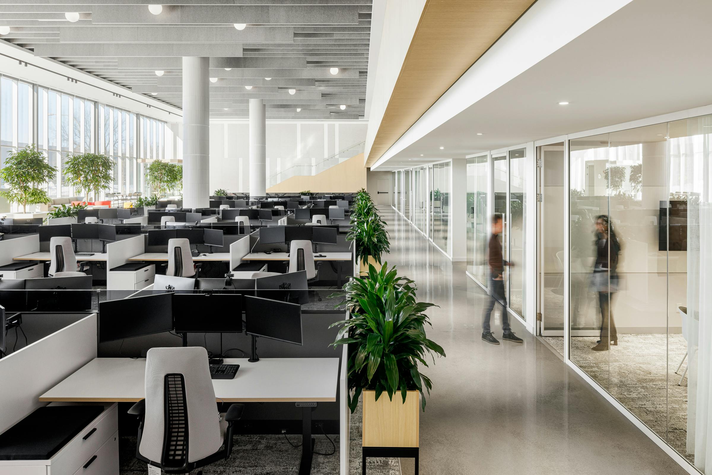 High perspective between the corridor and the workspaces in a large room with a bright design.