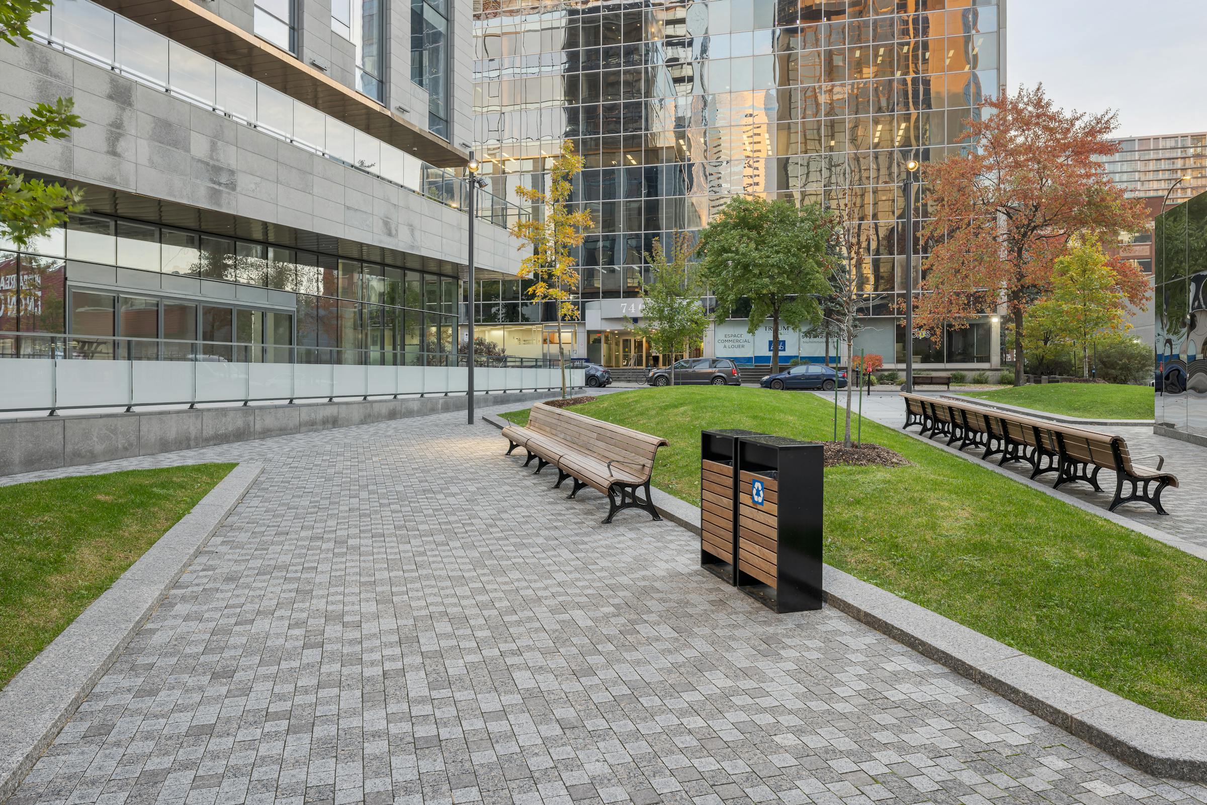 Parc urbain sous une tour de 40 étages, avec combinaison d’ombre et lumière.