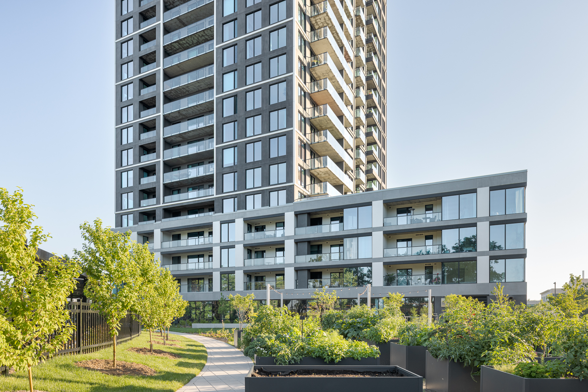 Photograph of the Evolo NEX tower and its landscaped gardens by the river.