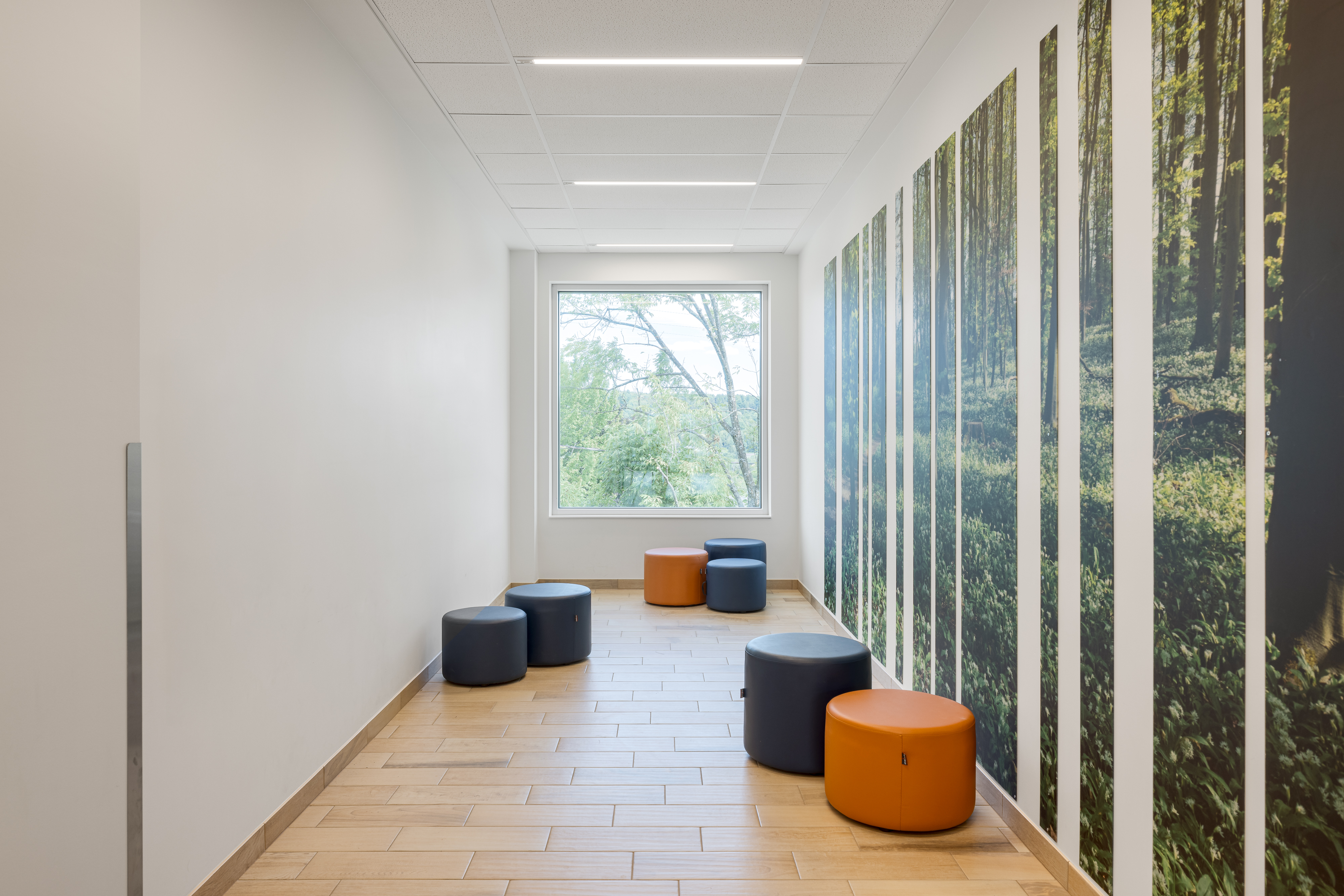 Perspective lumineuse ouvrant sur la végétation extérieure.