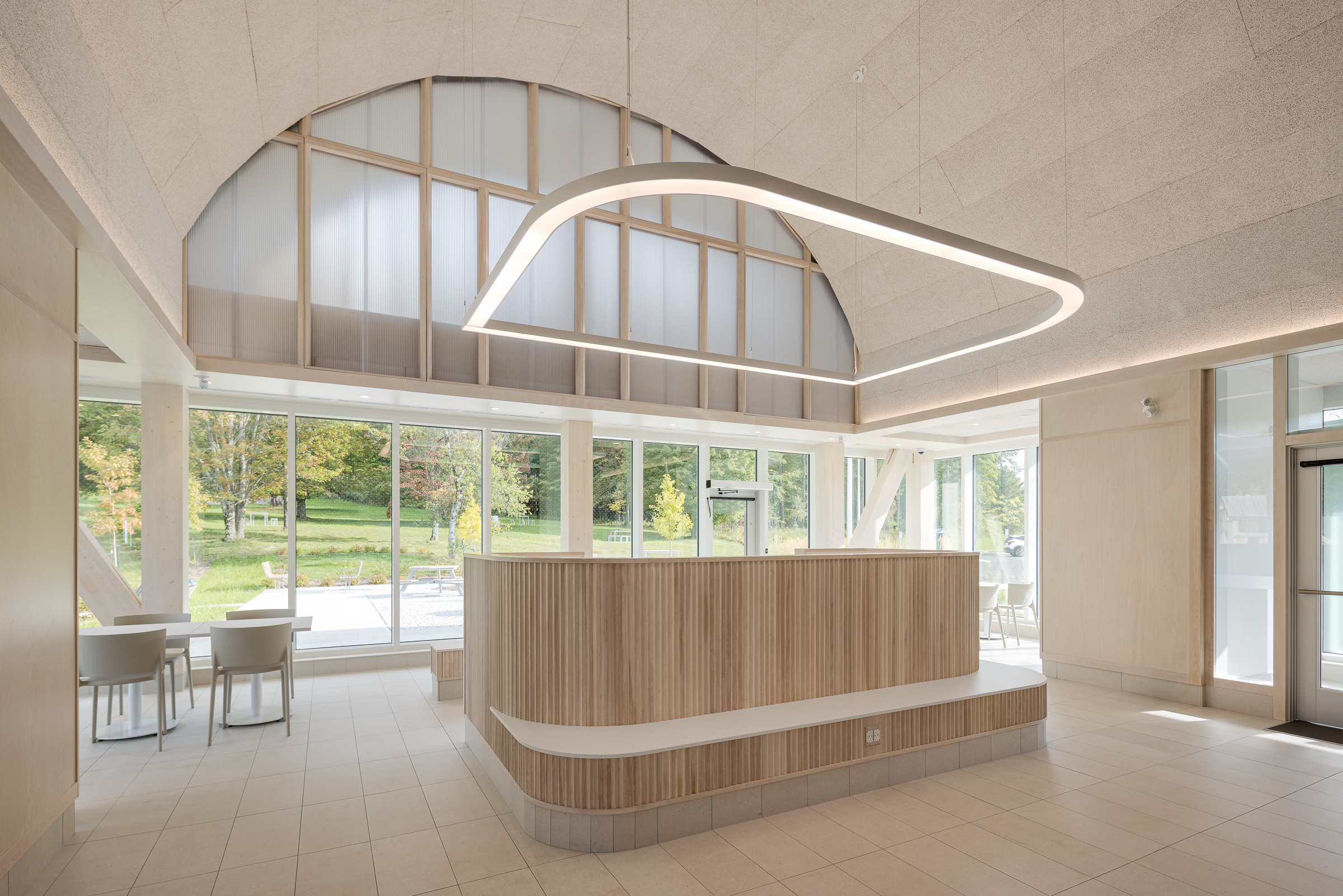 Vault with wood fibre acoustic panels, revealed through architectural photography.