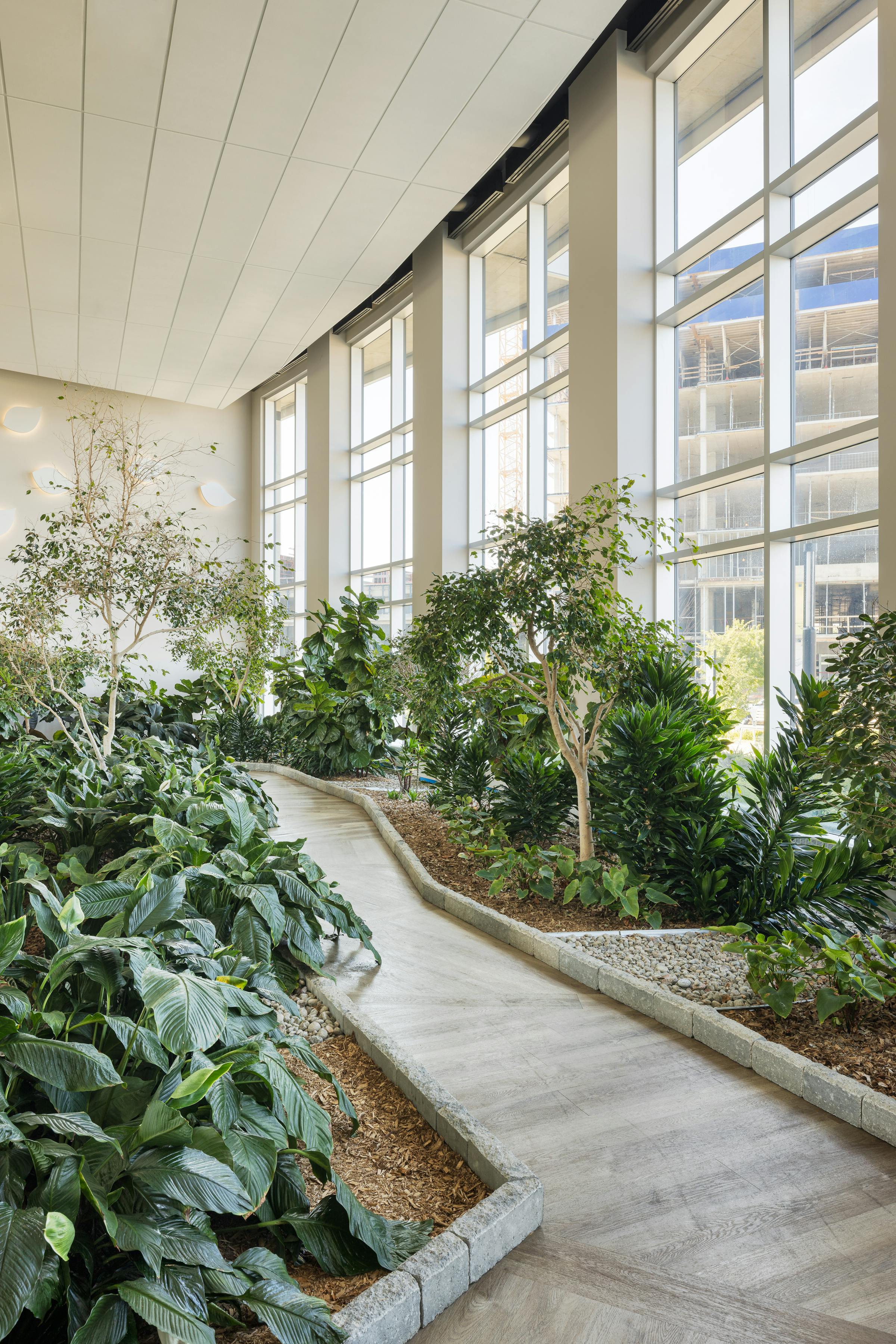 Photograph of a very green interior garden with modern architecture.