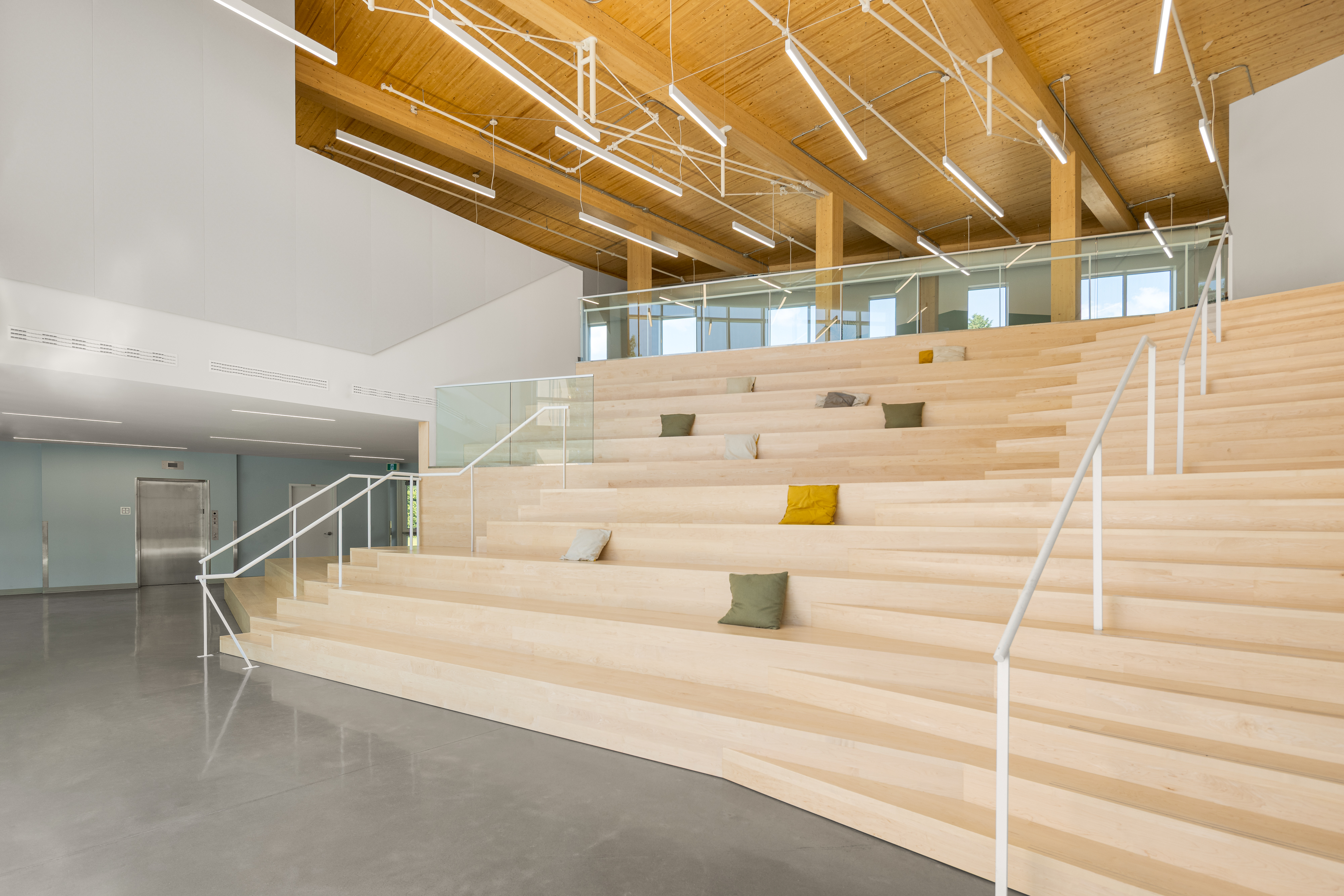 Photographie d’architecture d’un grand gradin en bois dans une école contemporaine avec plafond en bois et lumière naturelle.