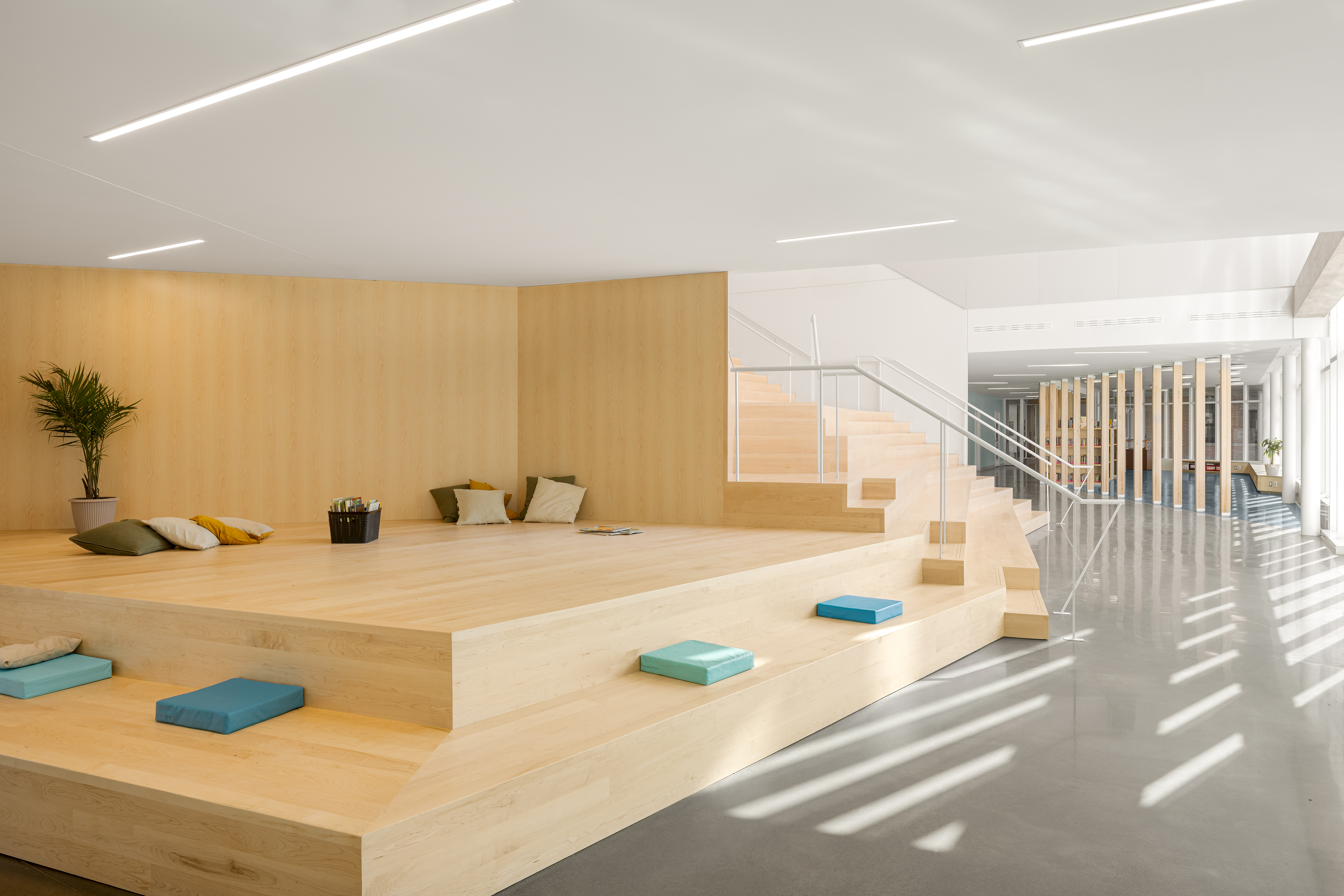 Photographie d’architecture d’un espace pédagogique avec gradins en bois et design intérieur contemporain d’école primaire.