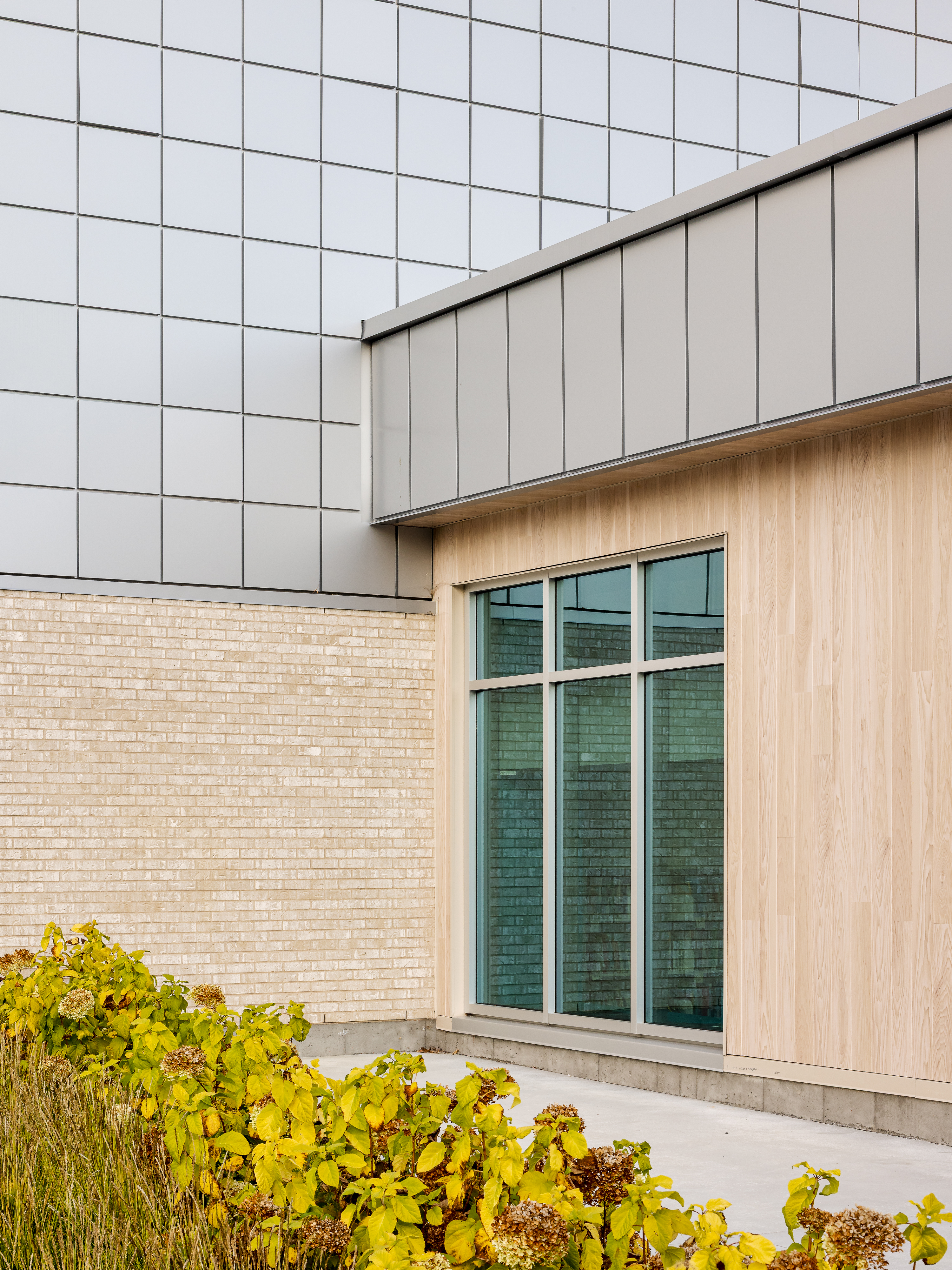 Detail of the exterior cladding in pale brick and aluminum panels of the new wing, vegetation in the foreground. Photo: TARMAC - Damien Ligiardi