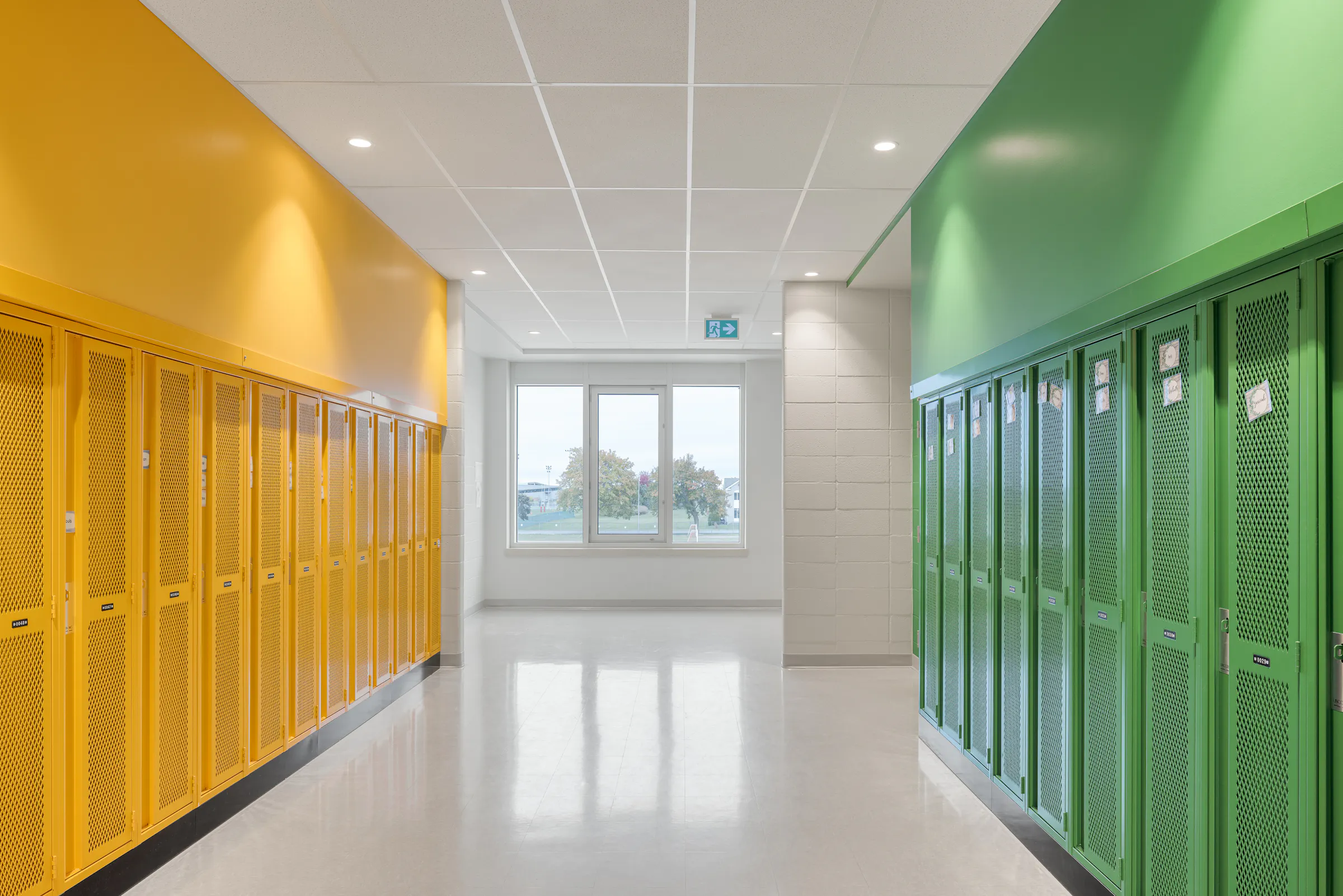A row of yellow and green lockers in a bright corridor, windows overlooking the outside. Photo: TARMAC - Damien Ligiardi