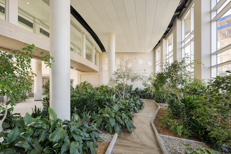 Un vaste jardin intérieur à l'architecture épurée dans une RPA.