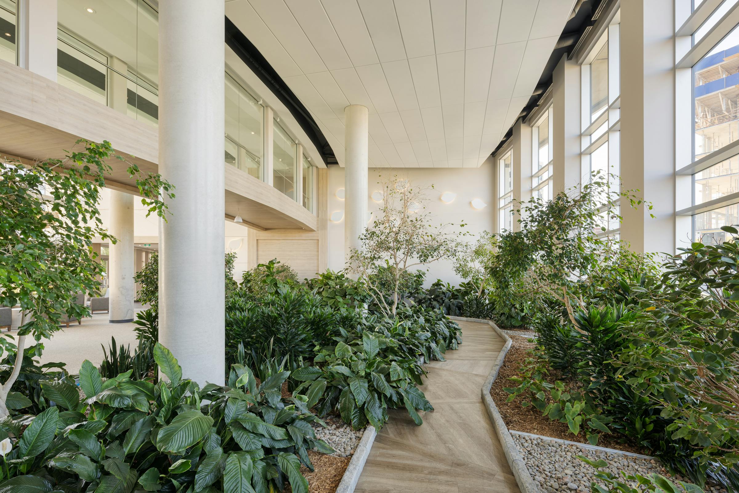 A vast interior garden with refined architecture in an seniors residence.