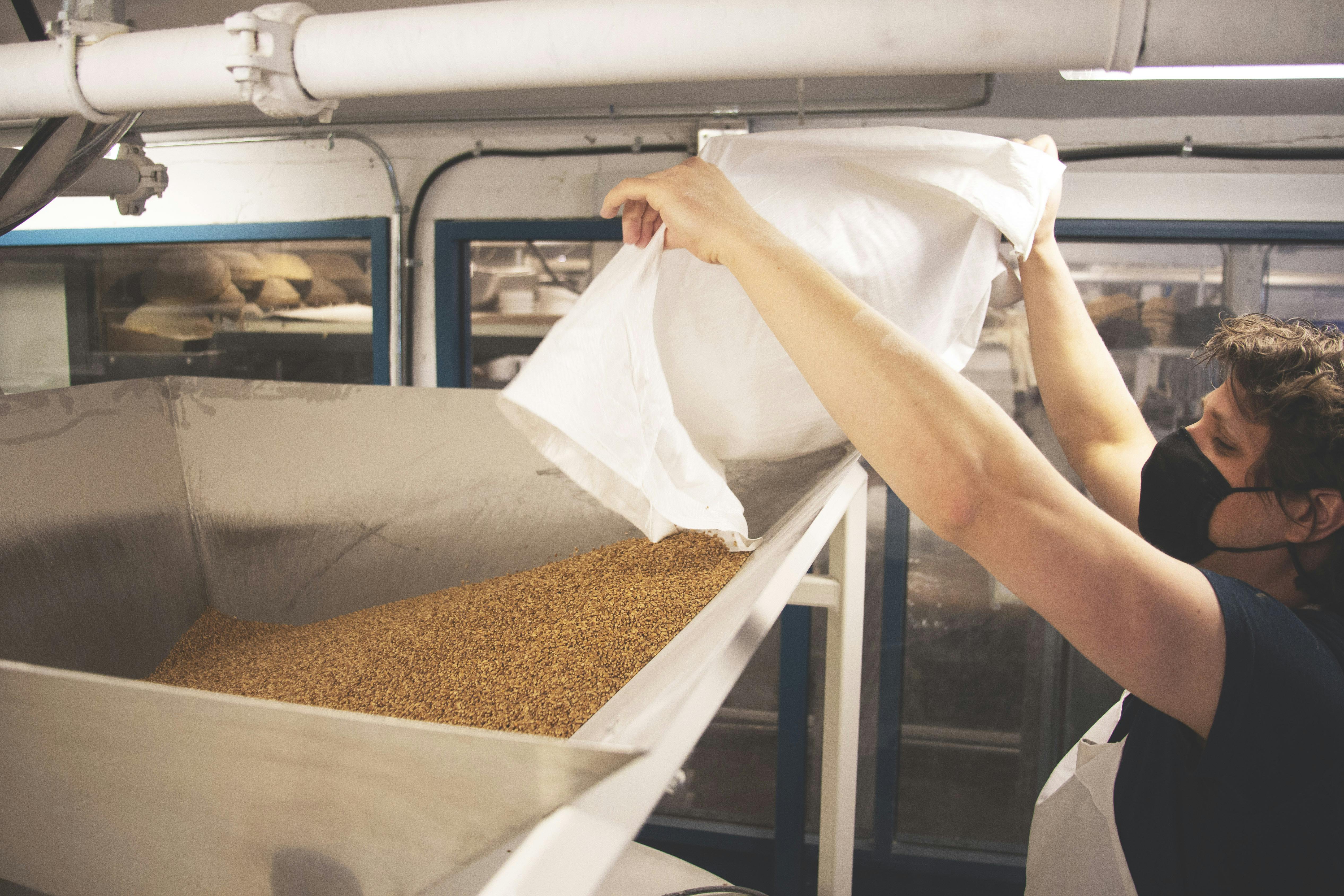 Whole grains being poured into the top of the flour mill