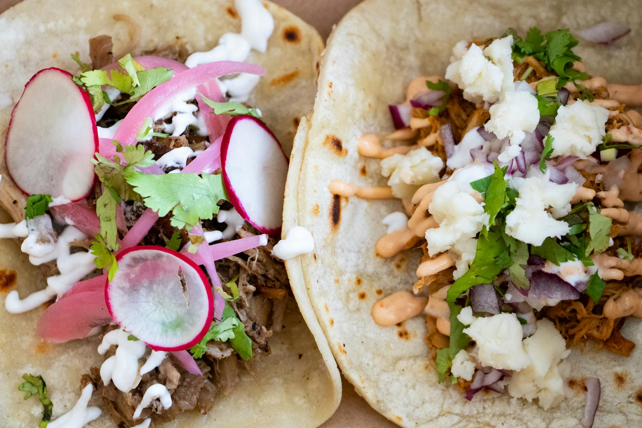 Carnitas Taco and Pollo Tinga Taco from Don Chingón