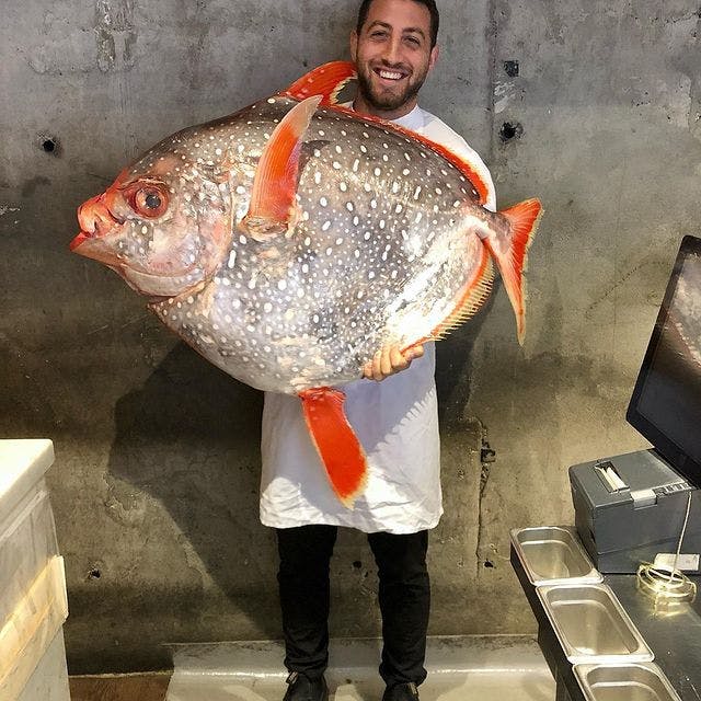 Friedlich with a giant moonfish, preparing to develop the new menu at Buca Yorkville