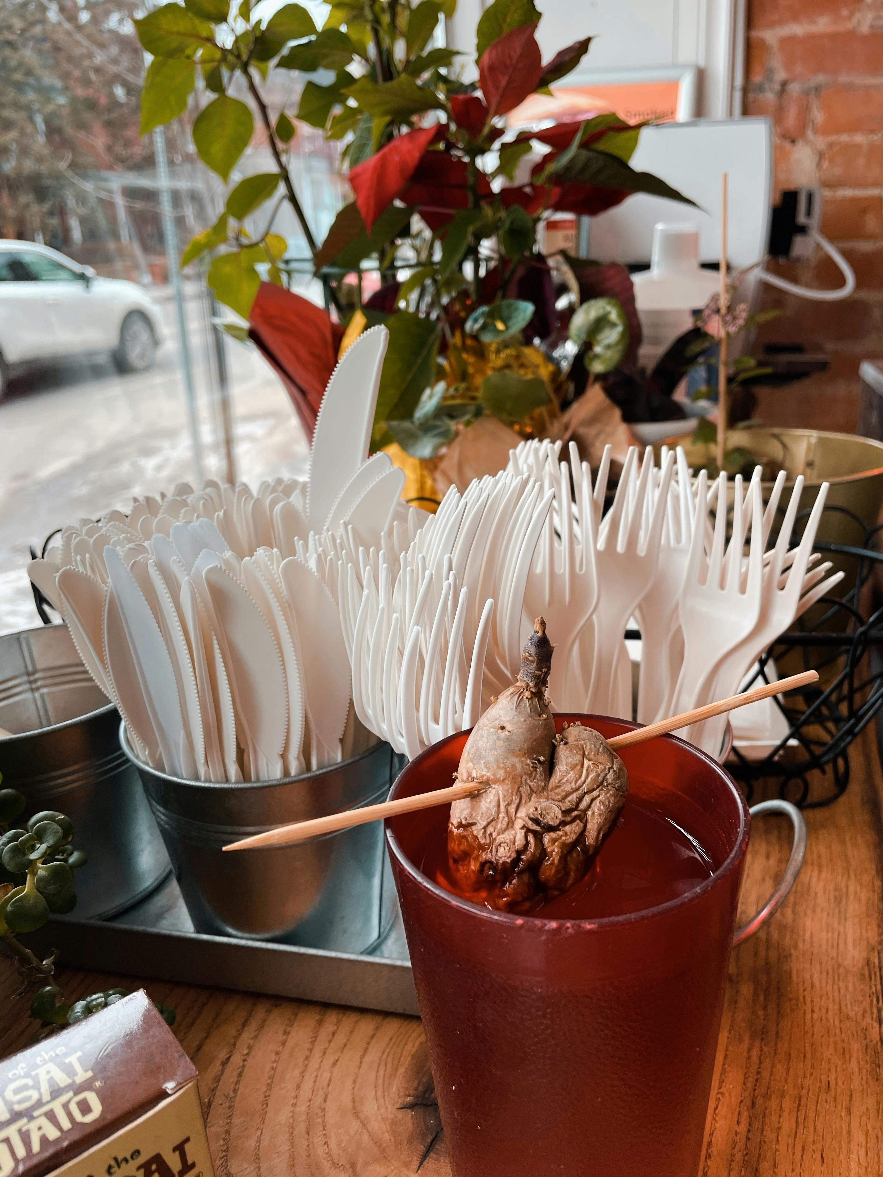 An array of compostable utensils