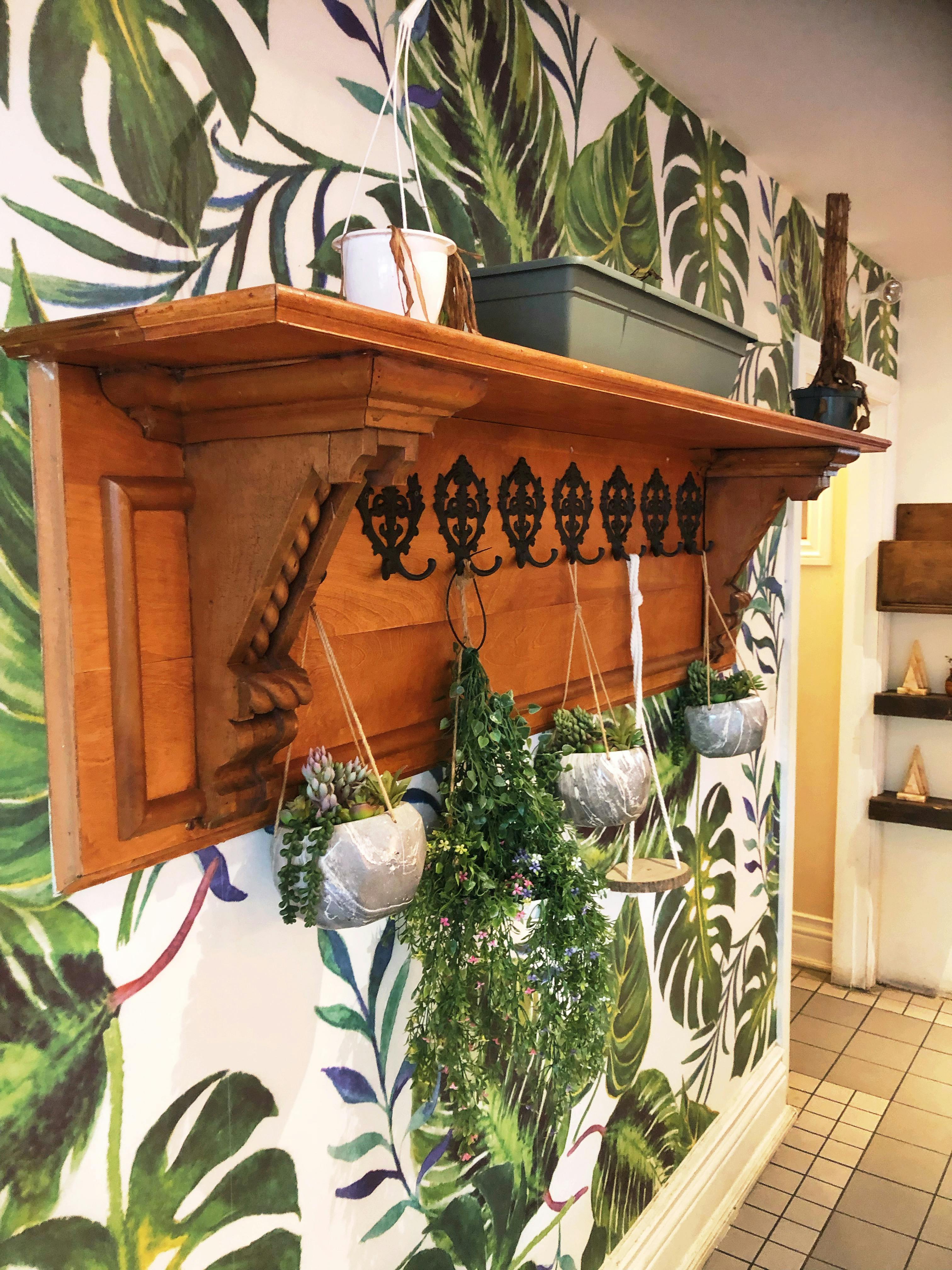 Wall Mounted Plants