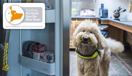 Stichting de hond kan de was doen