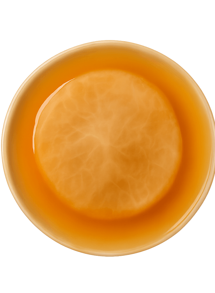 Image of a vinegar mother