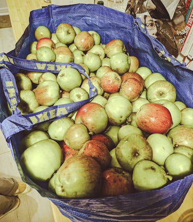 A picture of a large ikea bag of apples