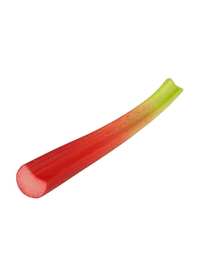 Rhubarb stalk