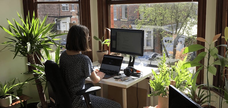 Remote funded coding courses