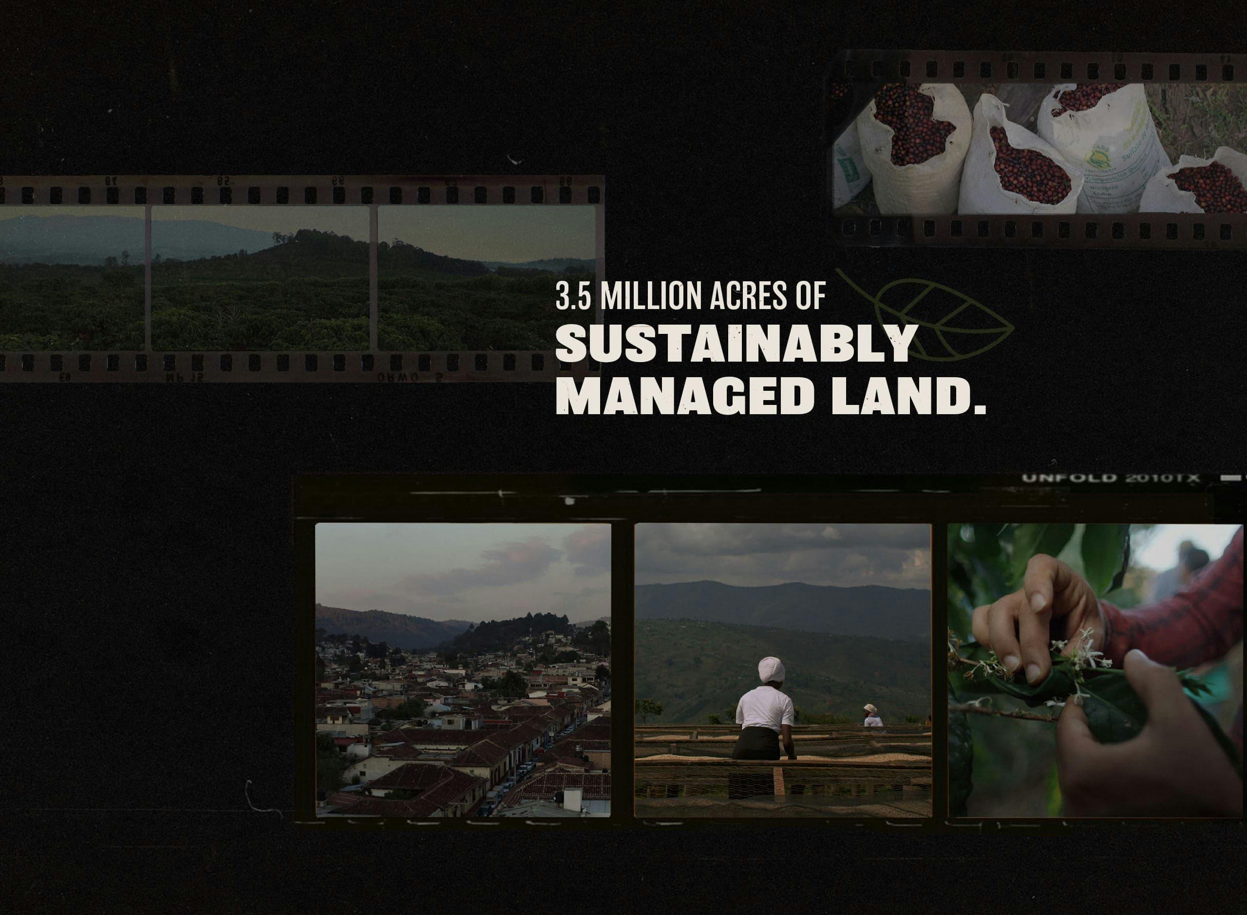 Starbucks origins 3.5 million acres of sustainably managed land.