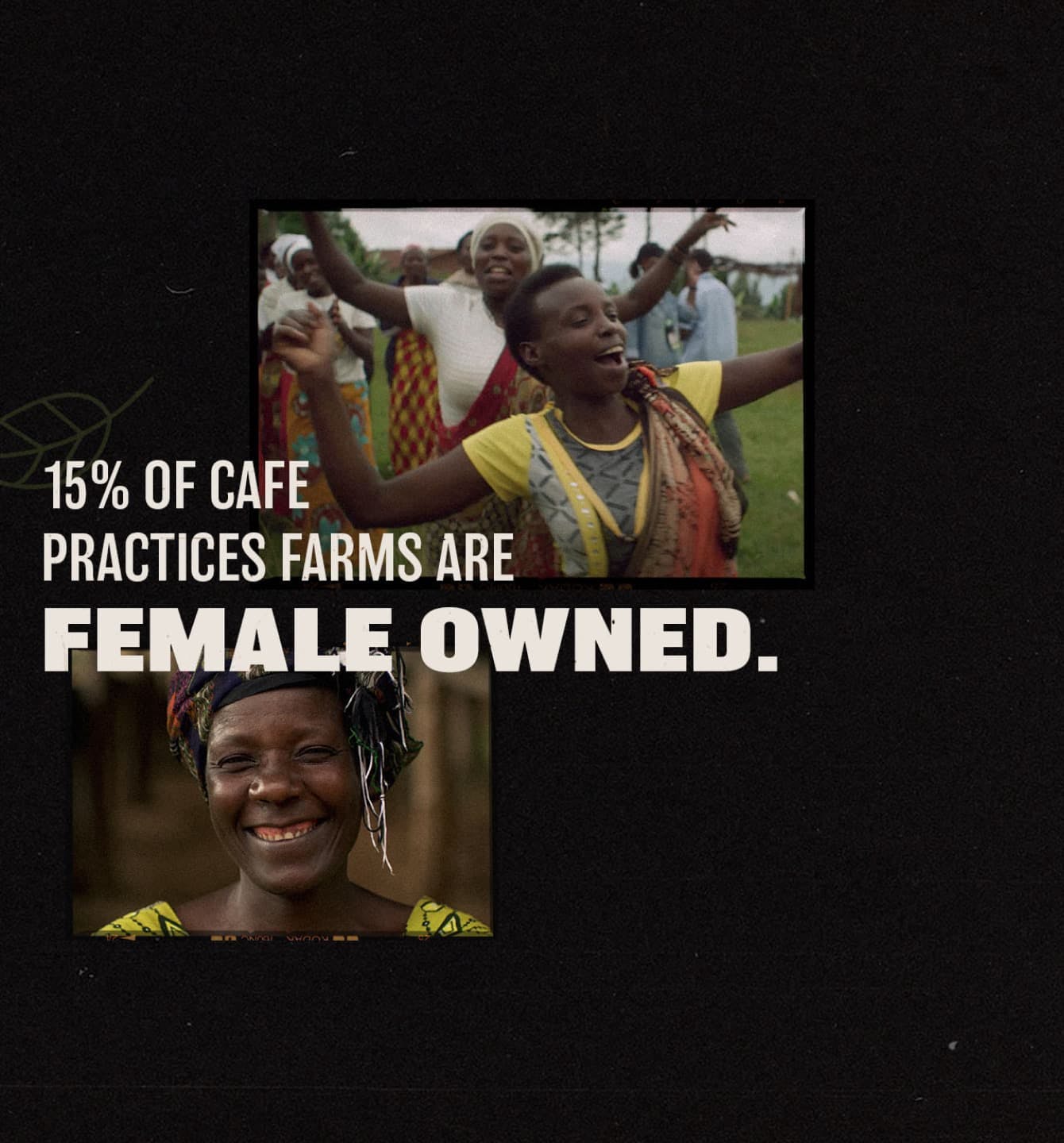 starbucks origins 15% of cafe practices farms are female owned.