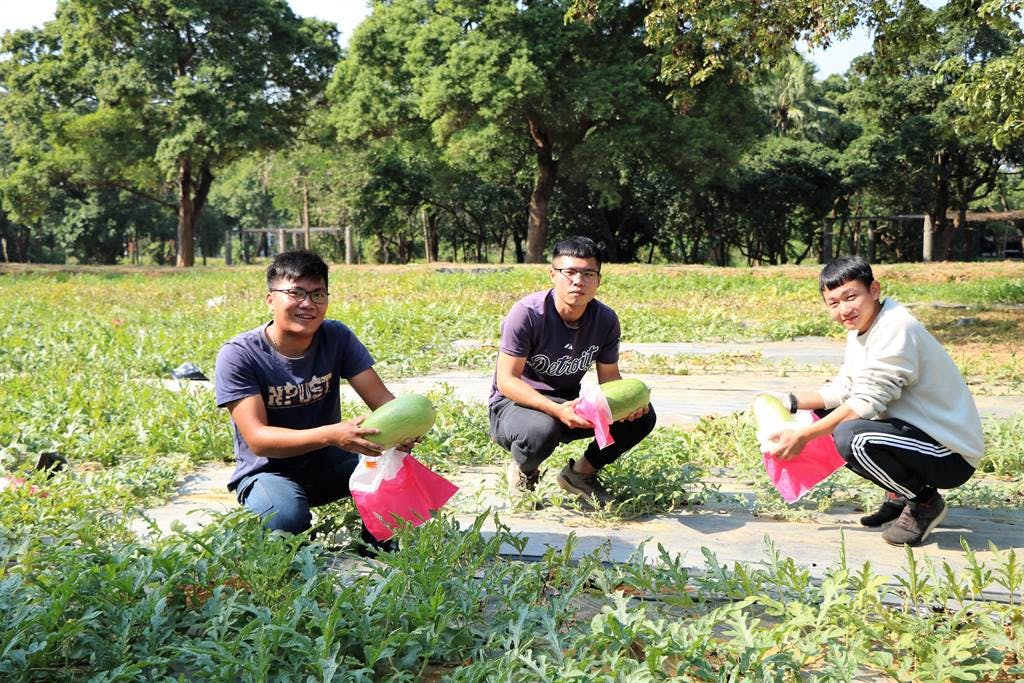 大江生醫、屏科大產學合作再進擊 以植物復育打響「台灣製造」品牌