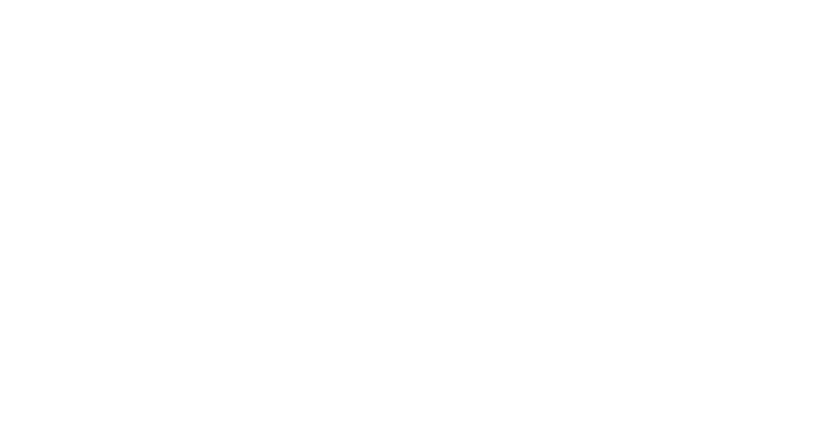 Logo FFBB