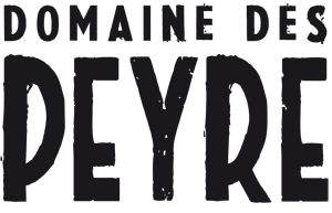 Logo de l'entreprise