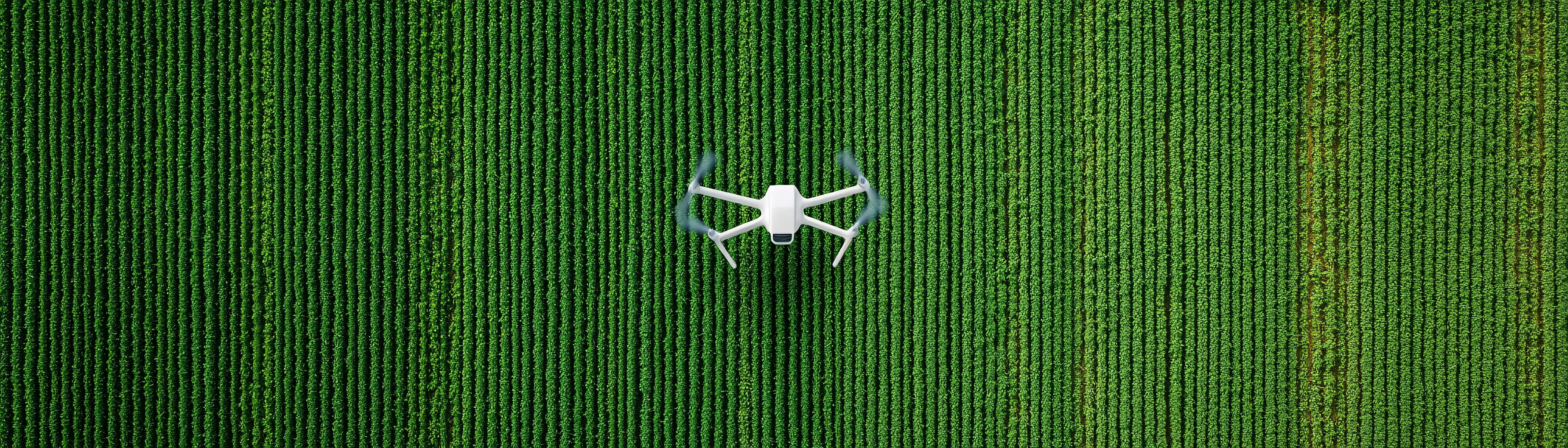 Smart Agriculture.jpeg