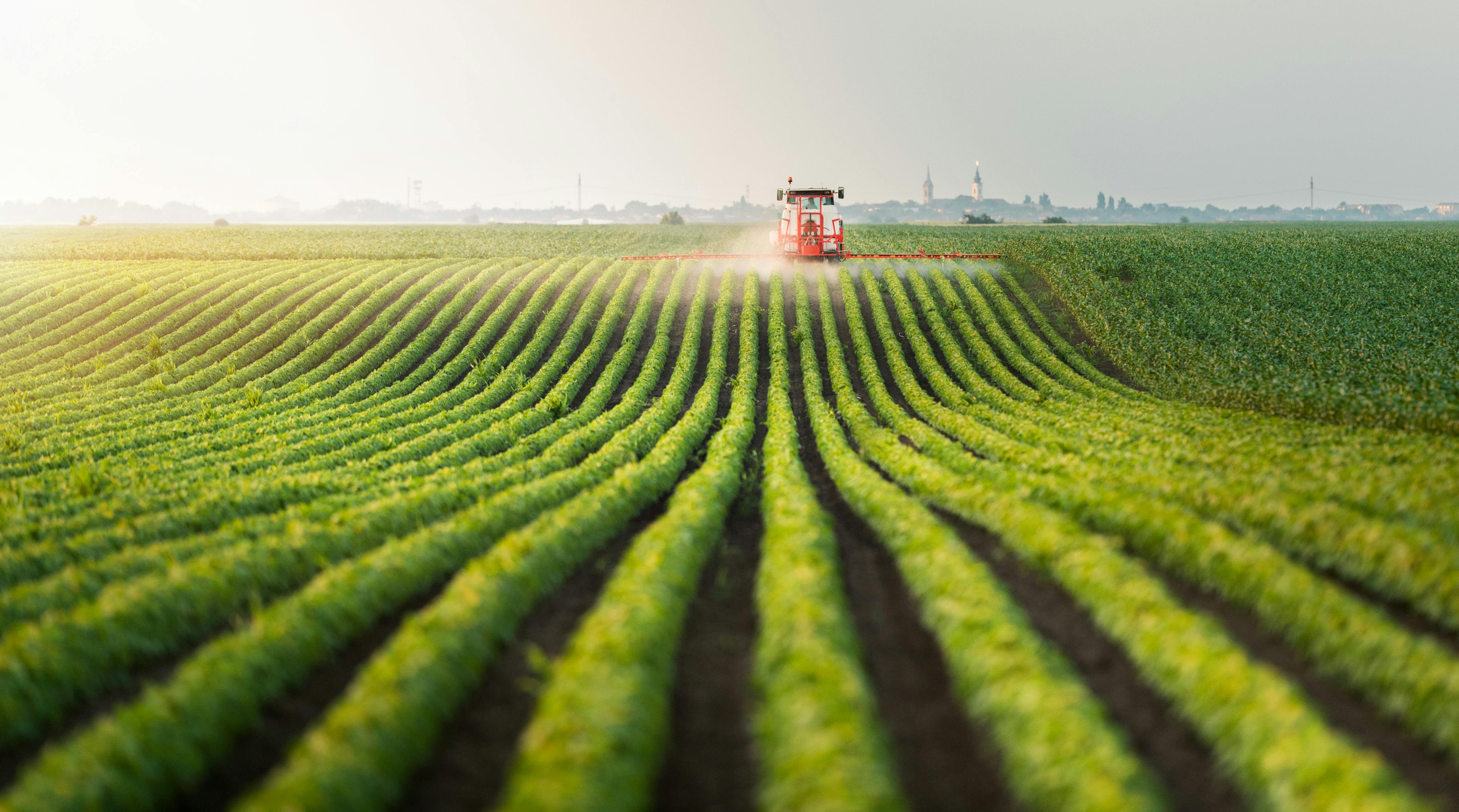 Tractor spraying pesticides at soy bean field.jpeg