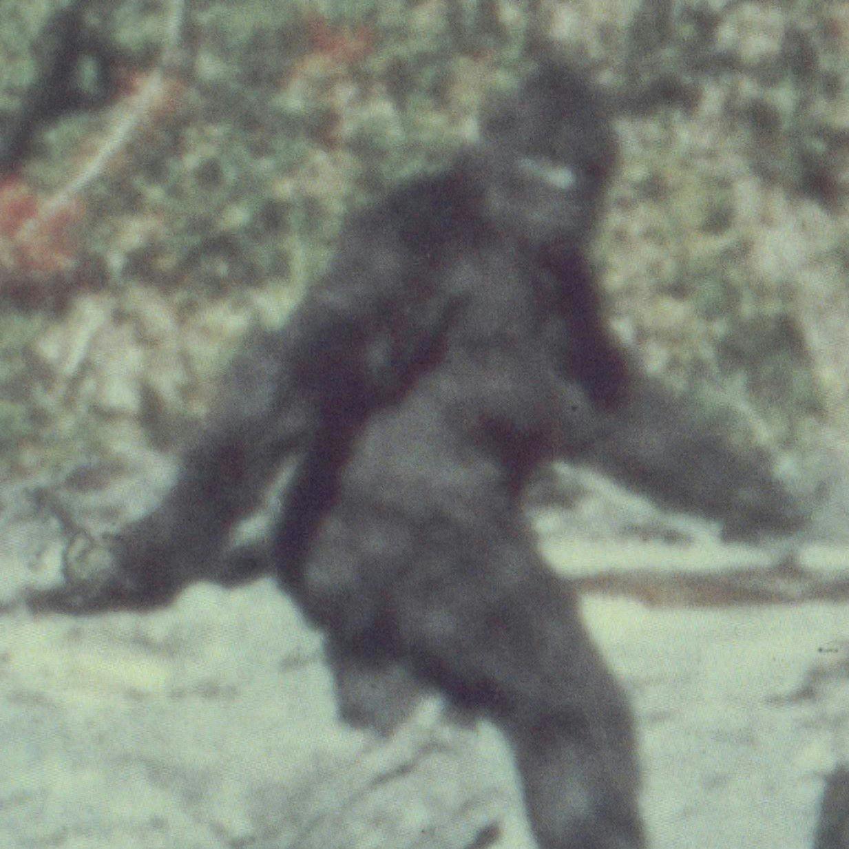 Bigfoot