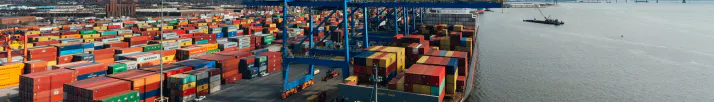 Résultat Team France Export Occitanie 2025 : les entreprises accompagnées renforcent leur présence à l’export
