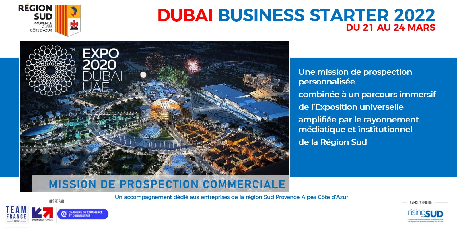 Dubai Business Starter Sud