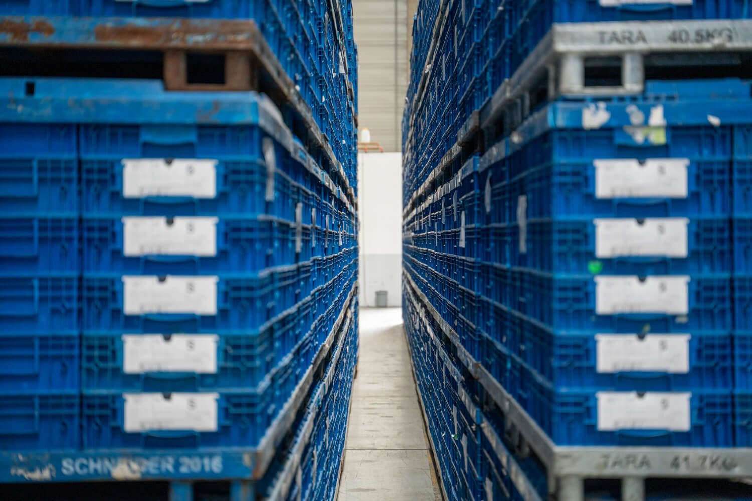 Blaue Mehrwegbehälter gestapelt im Lager eines Kontraktlogistik-Dienstleisters